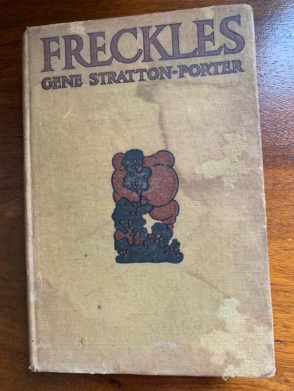 Vintage First Addition of Freckles by Gene Stratton-Porter